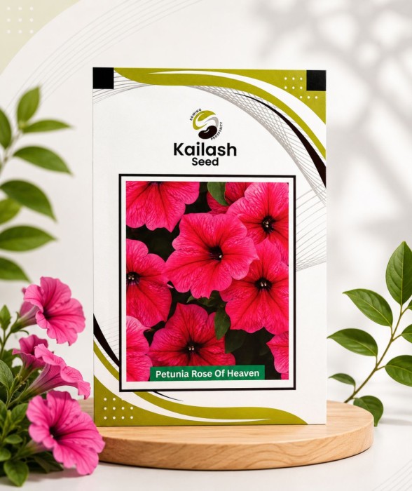 Petunia Rose Of Heaven